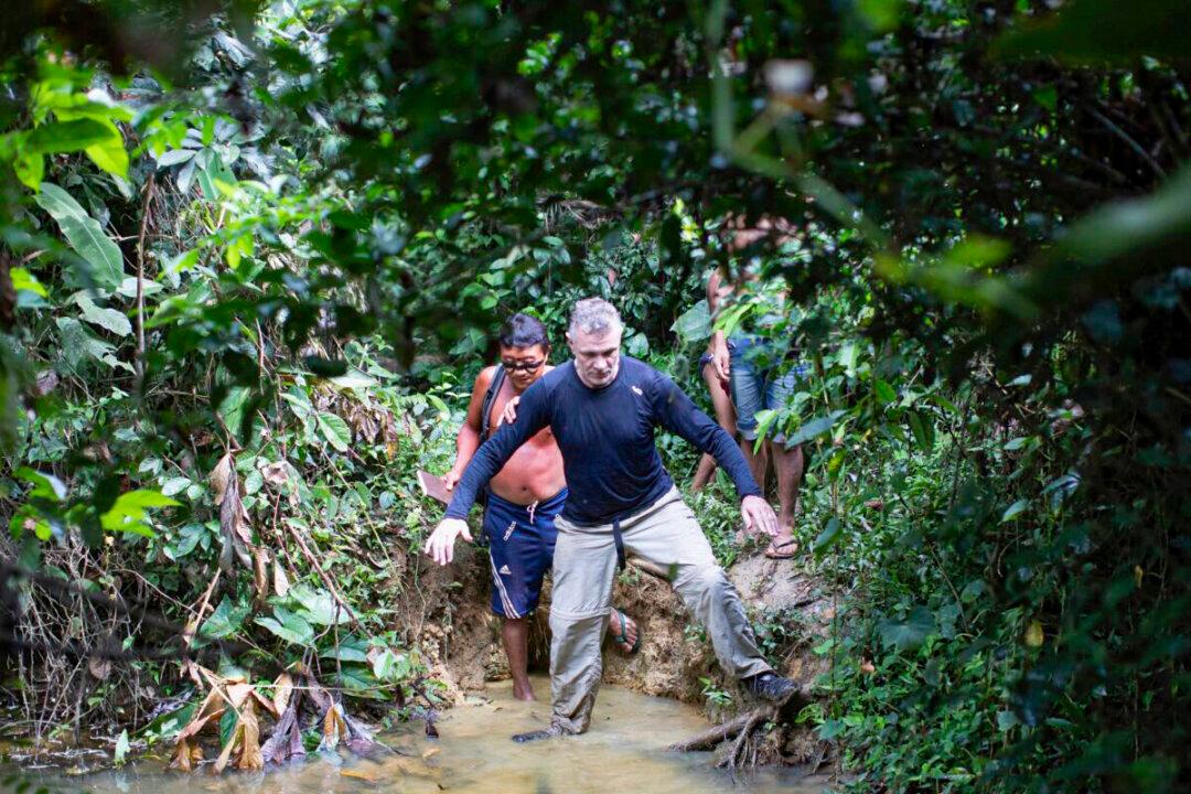 British Journalist, Brazilian Expert Missing in the Amazon