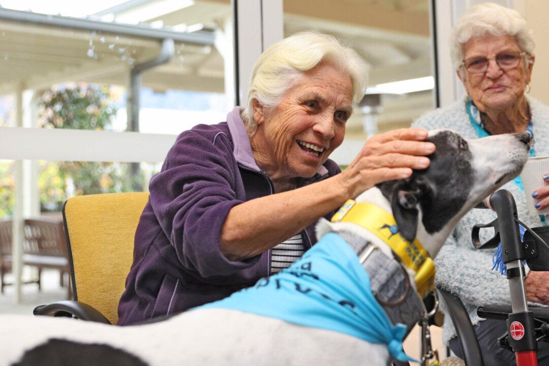 Rescued Dogs to Brighten up Australian Aged Care Homes