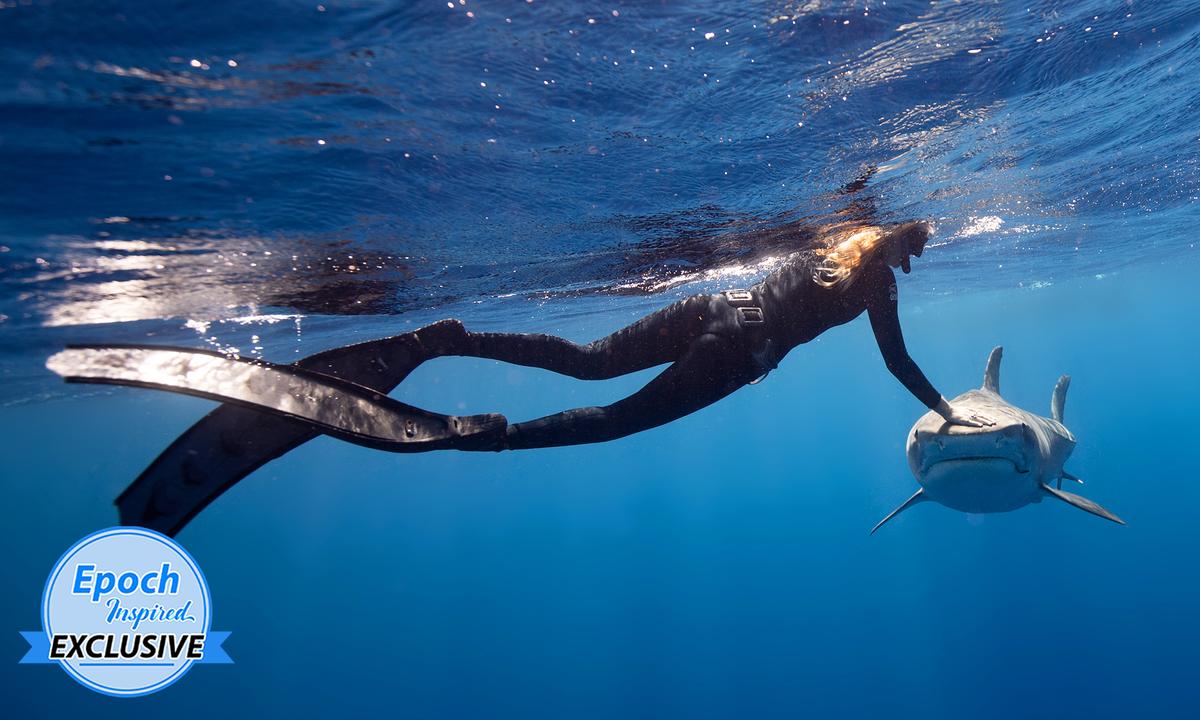 Shark Diver Shares Tips on What to Do When a Shark Approaches You in the Water