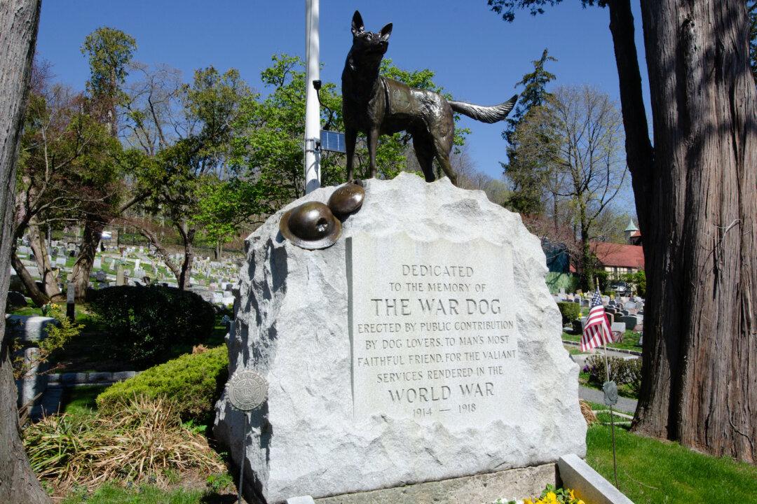 4-Legged Heroes Are Memorialized at New York Pet Cemetery