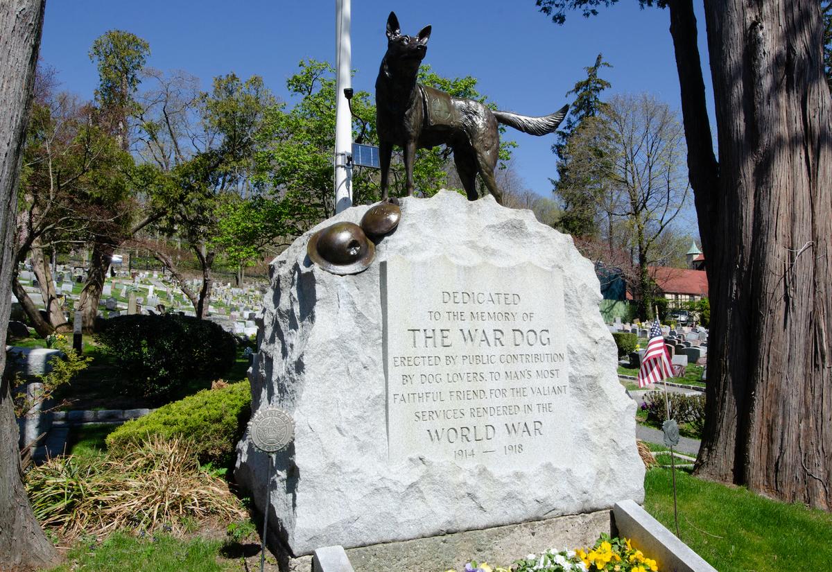 4-Legged Heroes Are Memorialized at New York Pet Cemetery