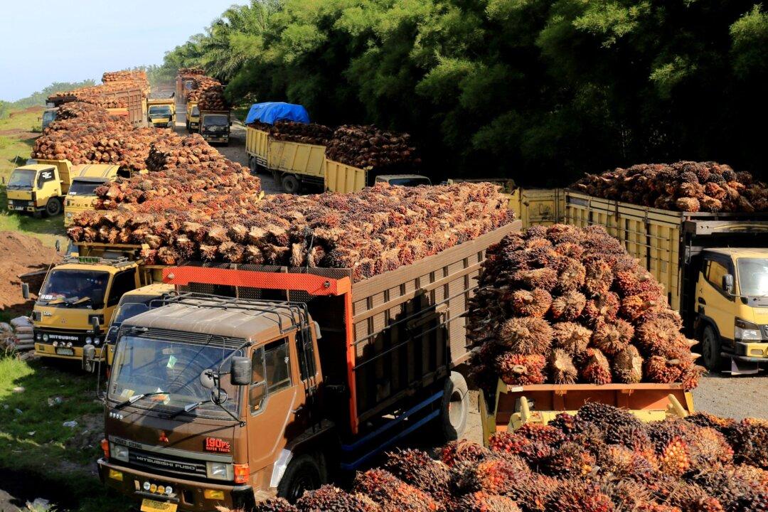 Indonesia to Cut Maximum Combined Palm Oil Export Tax and Levy: Trade Minister