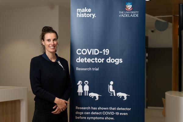COVID-19 Sniffer Dogs Start Work at South Australian Hospital