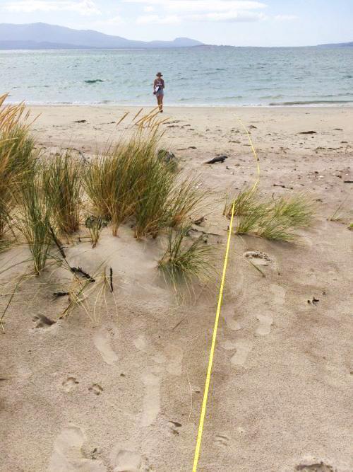 Research Shows Plastic Pollution on Australia’s Beaches Is Declining