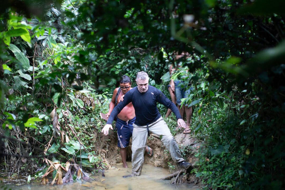 Brazil Sends Helicopters to Search for 2 Missing in Amazon