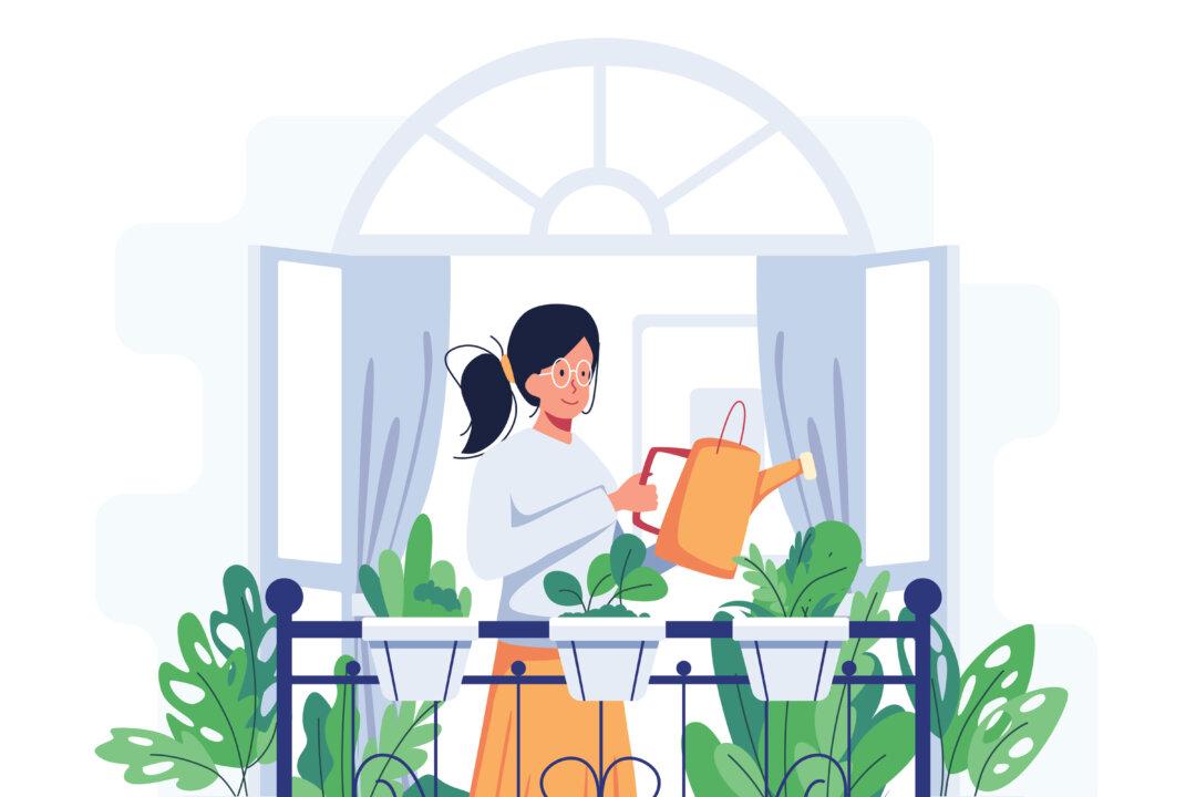 Summer Houseplant Care