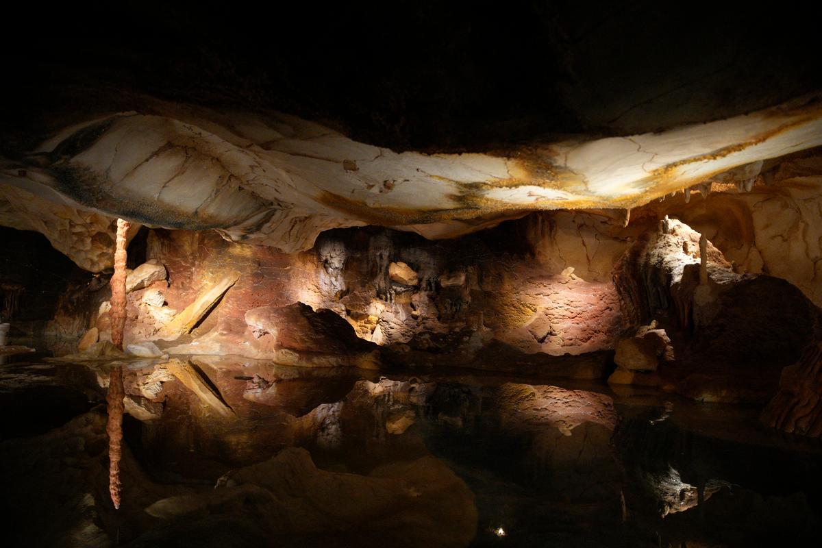 Exhibit of Famed Prehistoric Cave Opens in Marseille