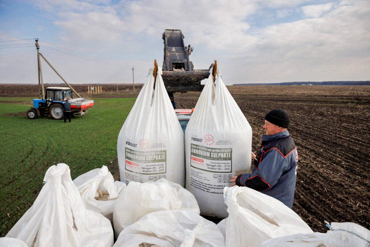 A local farm worker unloads Ukrainian-made fertilizer from a truck to use on a wheat field near Kharkiv, Ukraine, on April 5, 2022. (Thomas Peter/Reuters)
