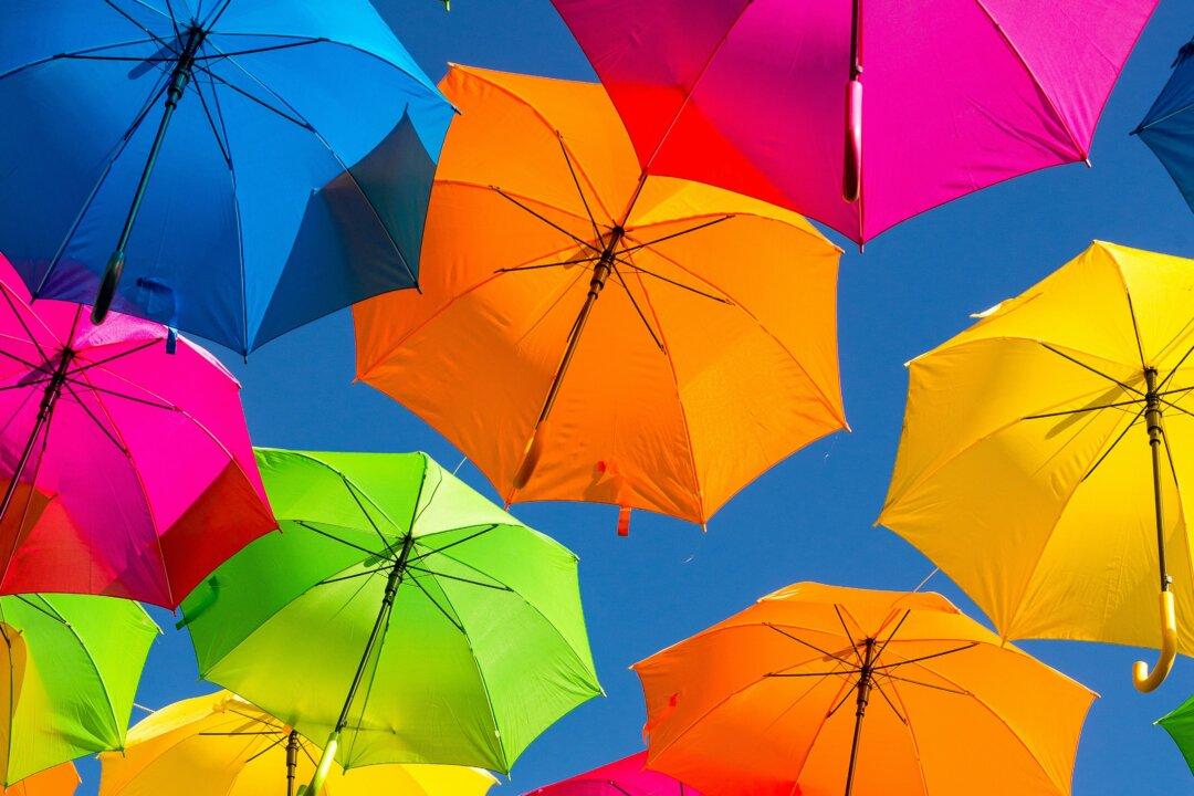 Best Inexpensive Umbrellas