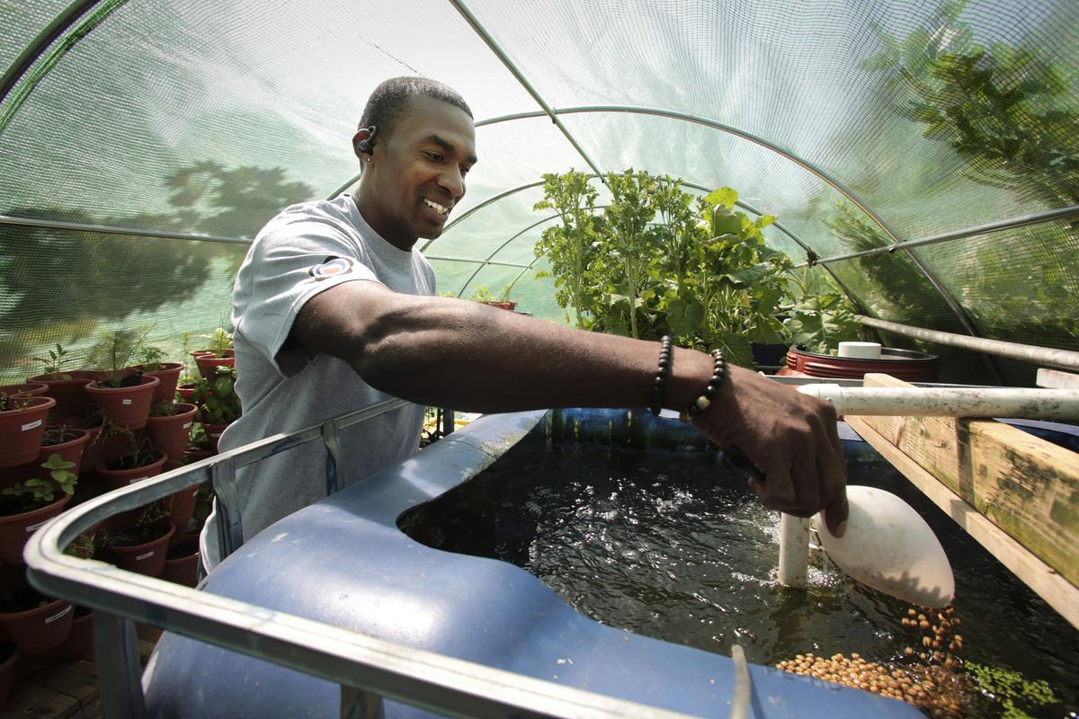 Backyard Farmer Raises Rabbits, Chickens, Tilapia, and Fresh Vegetables at Home. He Wants You to Do It, Too.