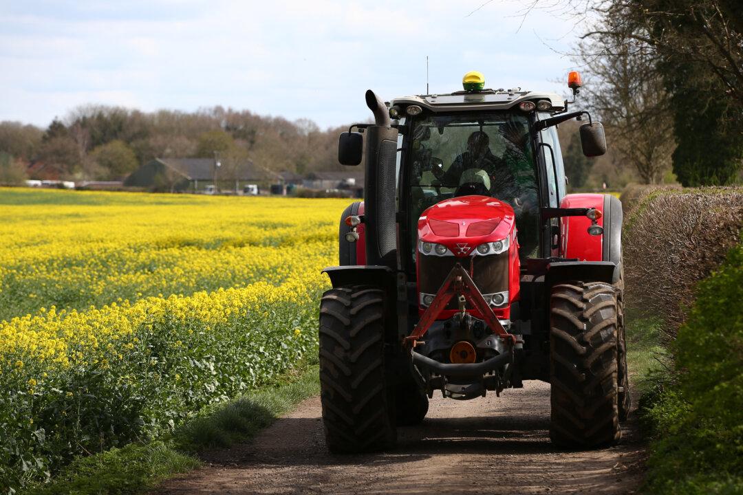 Gene-Editing Food Plans for England are GM ‘Sleight of Hand’ Say Critics