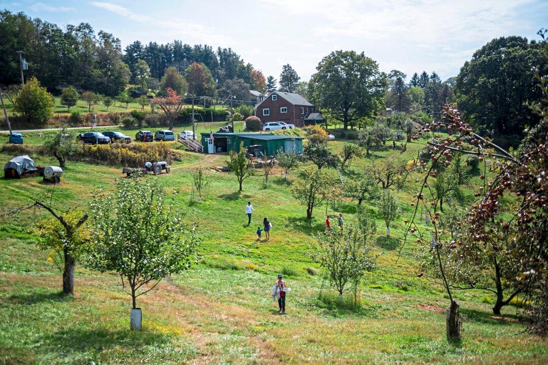 Explore Pennsylvania’s Culinary History via 4 Themed Trails