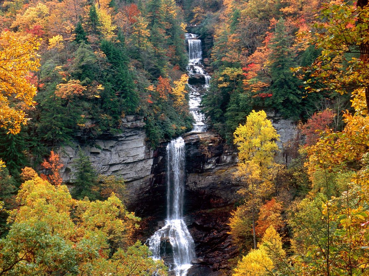 5 South Carolina Waterfalls With Spectacular Views and How to Find Them