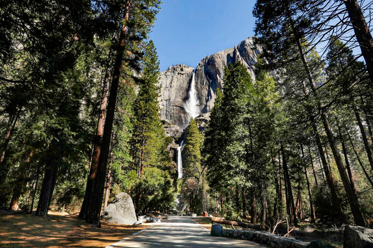 Yosemite National Park Reinstates Mask Mandate As Multiple Institutions Bring Back Face Coverings