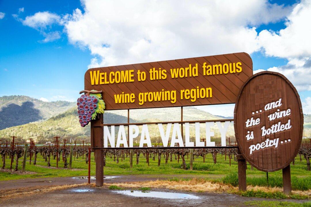 A Finer Focus on California Wine Regions
