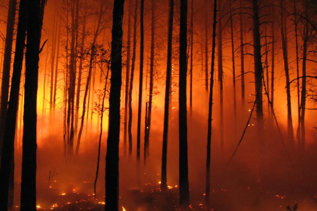 The Economic Meltdown Has Roots in Lockdown