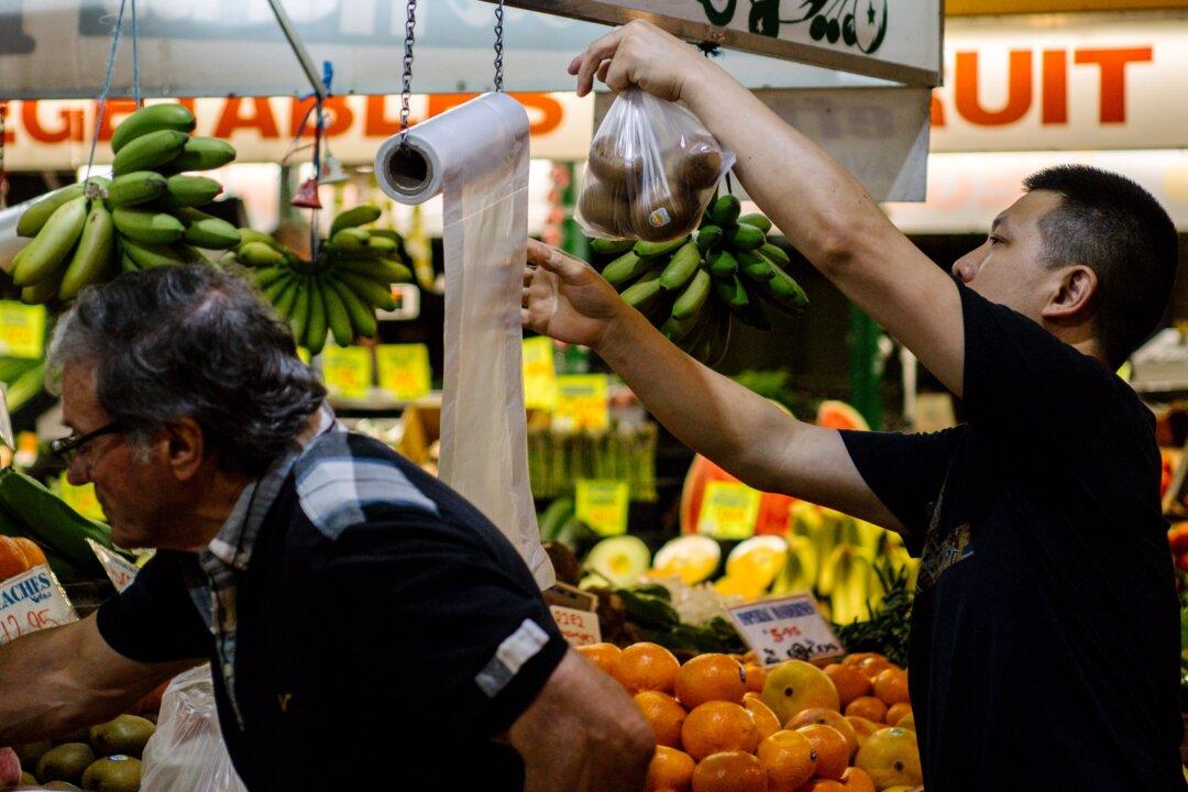 Basic Groceries Up 20 to 95 Percent Amid Cost of Living Crisis: Research