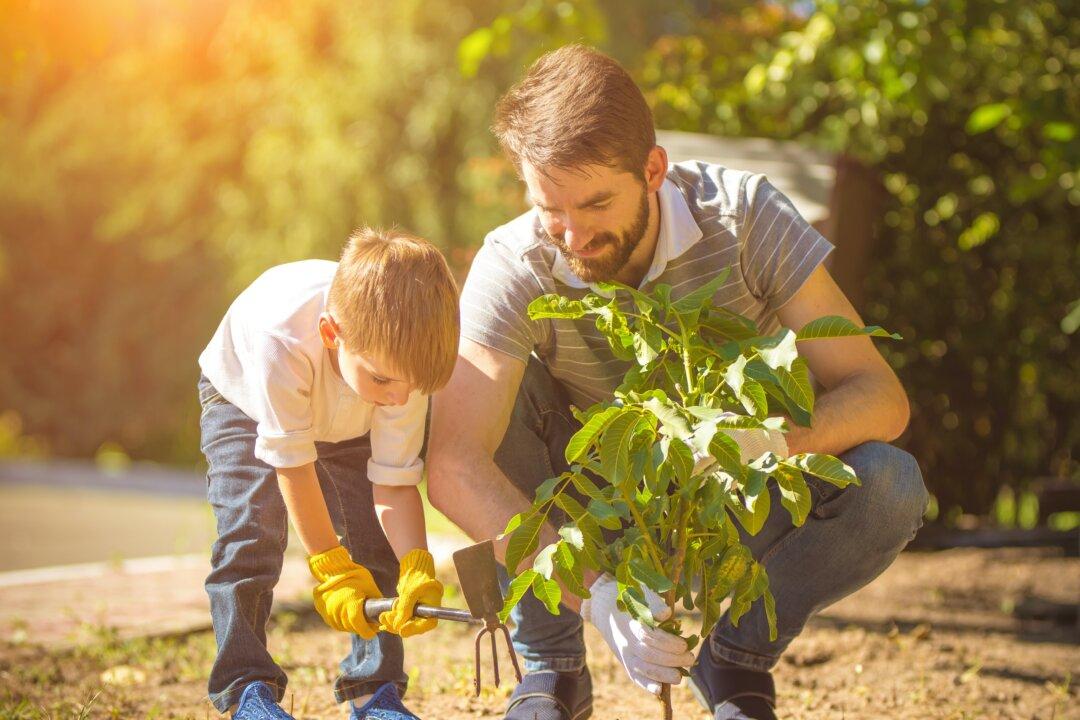 Men, Work, and Family