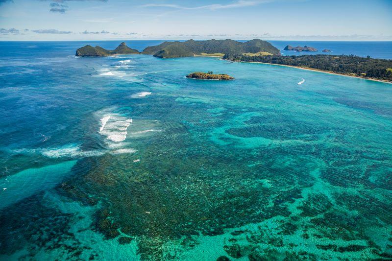 Soft Corals Show Greater Resilience to Bleaching During Marine Heatwaves