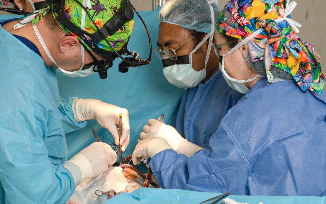 Australian Exports of Critical Heart Valve Replacements to US Impacted by Worker Shortage