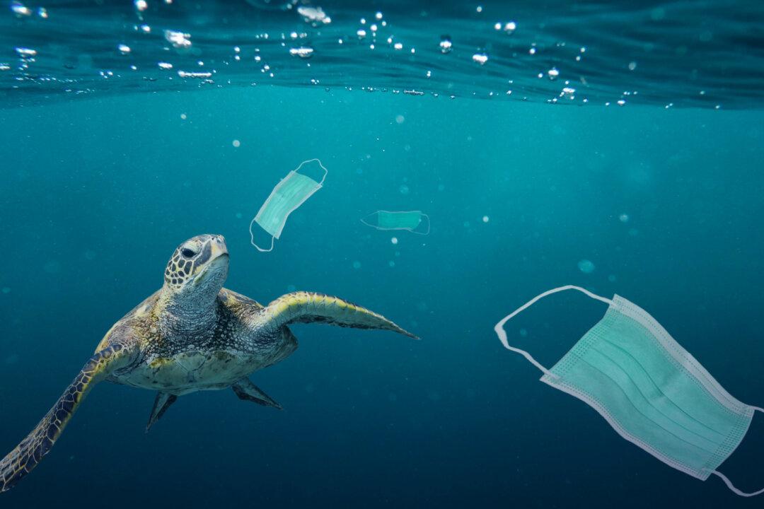 More Bad News for the Mask Cult