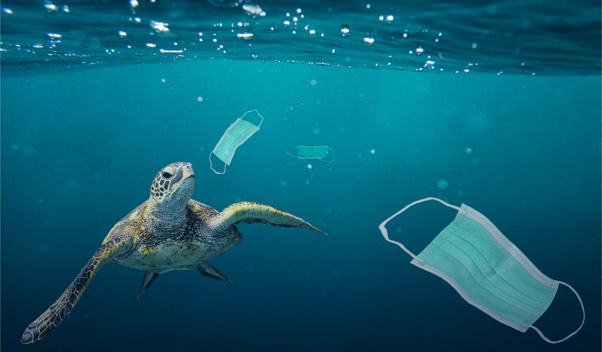 More Bad News for the Mask Cult