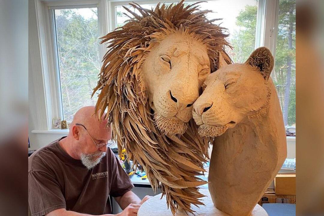 Artists Sculpt Old Cardboard Boxes to Make Stunningly Realistic Life-Size Lion Portraits in Loving Embrace