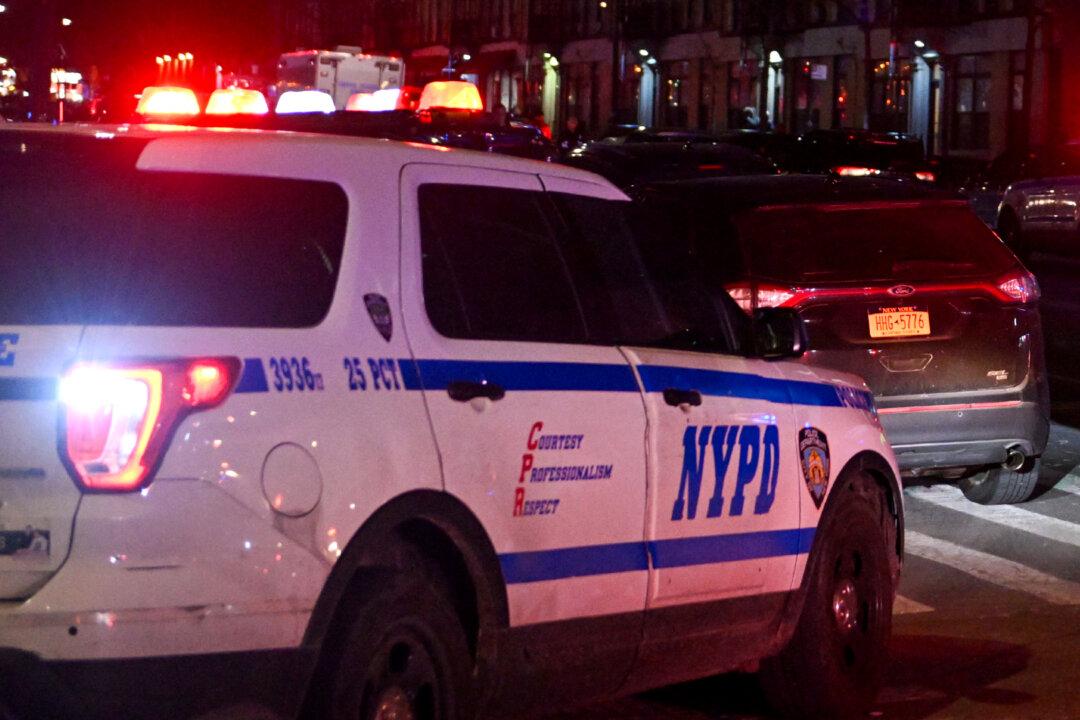 New York City in Grip of Organized Street Crime