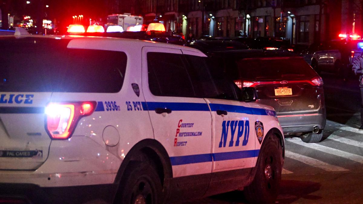 New York City in Grip of Organized Street Crime
