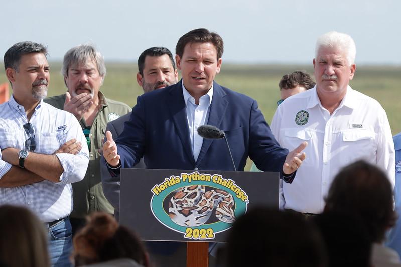 Everglades Ecologist Rises to DeSantis’ Python Challenge