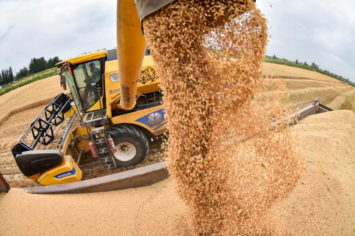 China’s Theft of US Agriculture Tech Secrets Is ‘Enormous’ National Security Threat: Analyst