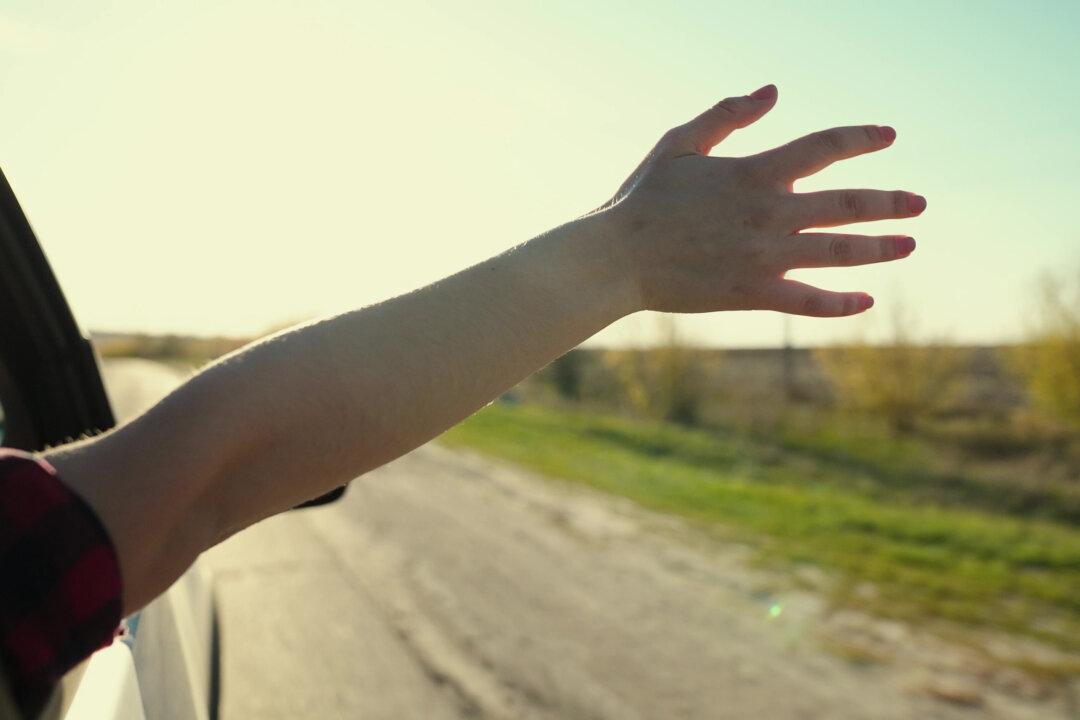 Small Back-Seat Rider Is a Breeze
