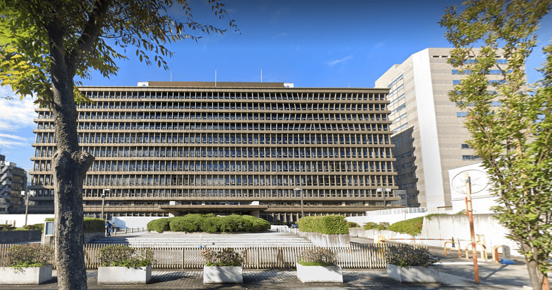 Ban on Same-Sex Marriage ‘Constitutional’ in Japan, Court Rules