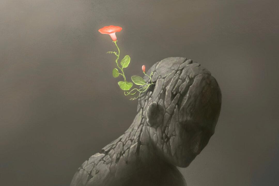 The Lockdown Advocacy of Devi Sridhar