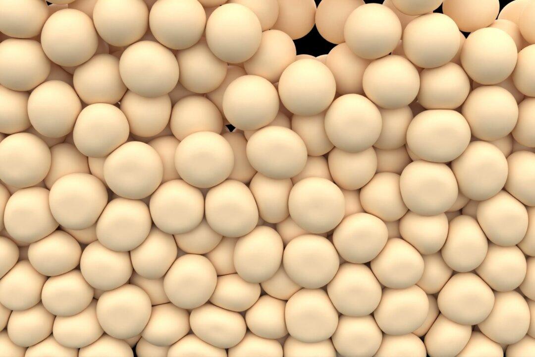 Understanding Cellulite