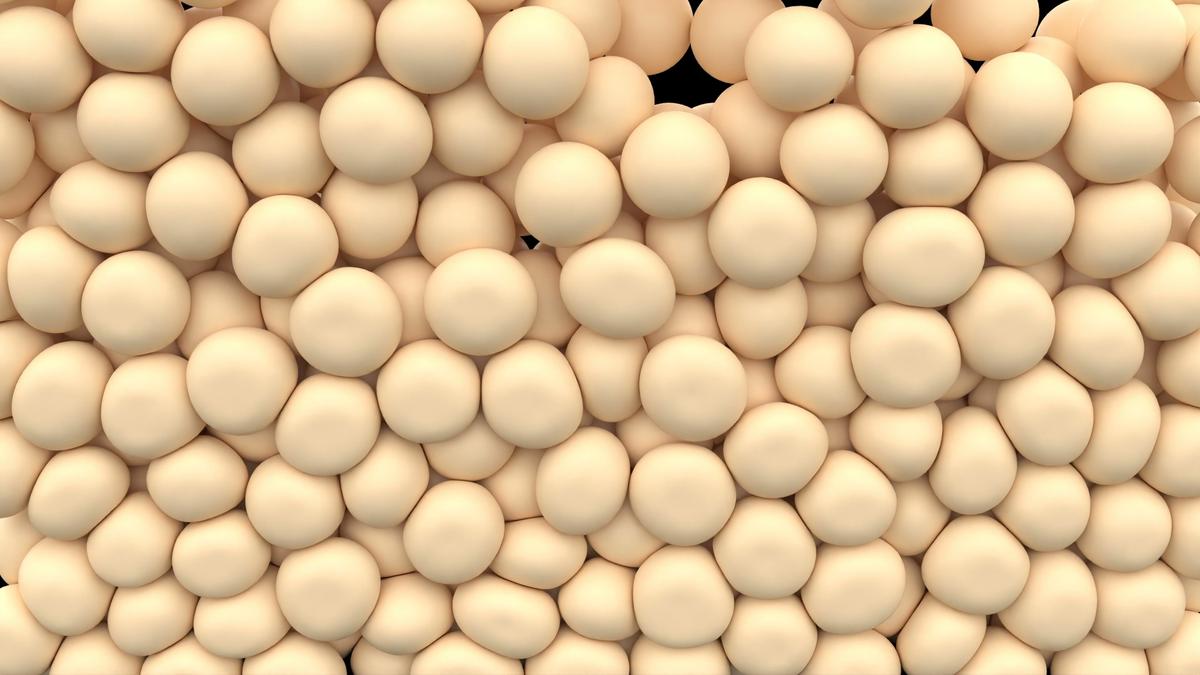Understanding Cellulite