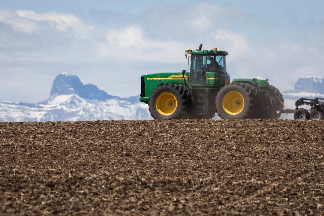 WTO Urged to Do More to Tackle Trade Barriers for Food, Agriculture