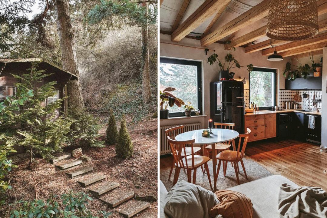 Artist and Her Husband Ditch ‘Noisy City Life’ for Self-Renovated Cozy Home in the Woods
