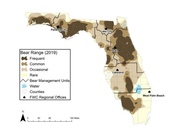 Infographic shows where Florida Black Bears roam in 2019. (Courtesy, FWC)
