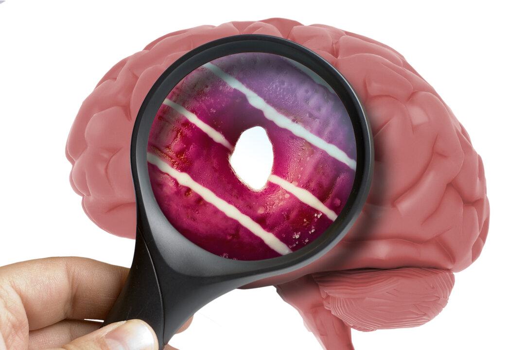 What Does Sugar Do to Your Brain?