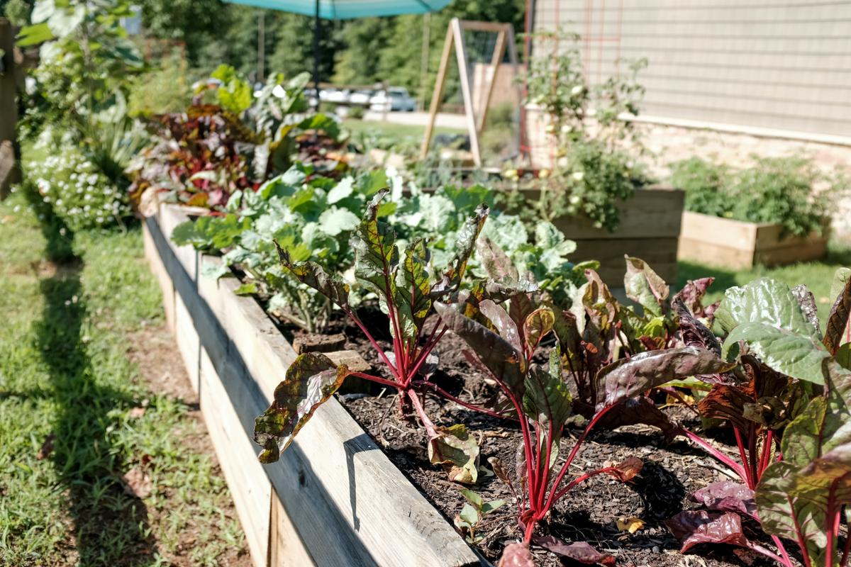 The Gourmet Landscape: How to Grow a Backyard Garden as Beautiful as It Is Delicious