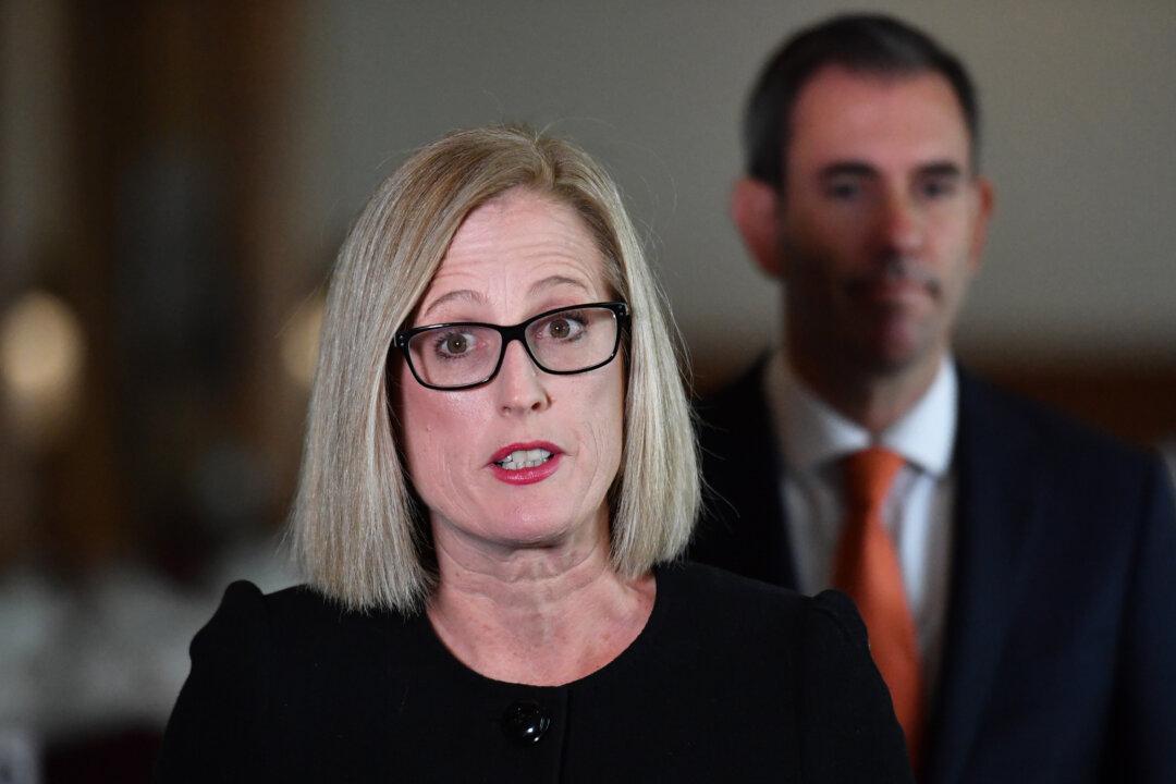 Global Stagflation a Risk Warns Australian Finance Minister