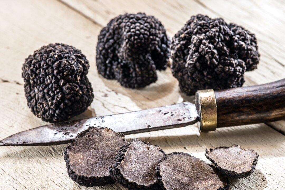 What Are Truffles?