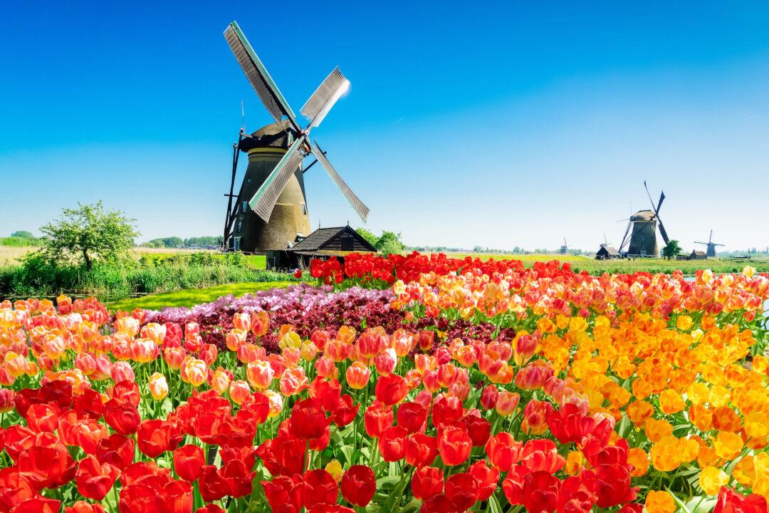 Dutch Treats: Finding the Netherlands Beyond Amsterdam