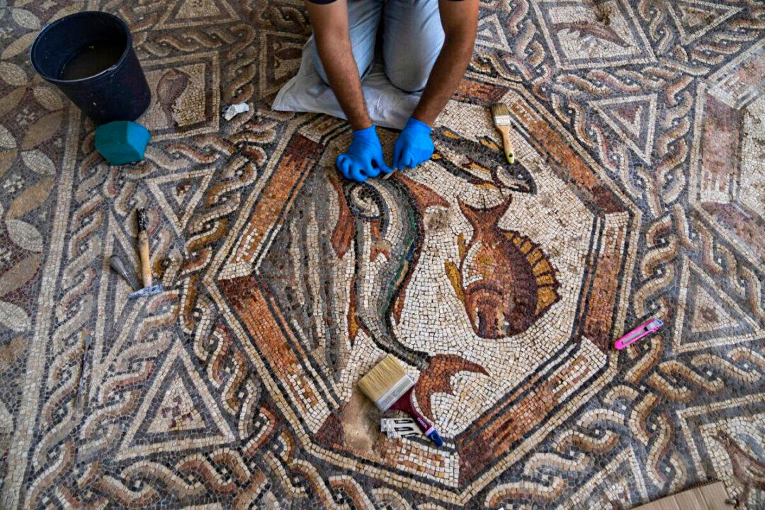 Stunning Roman Mosaics Return Home to New Israeli Museum