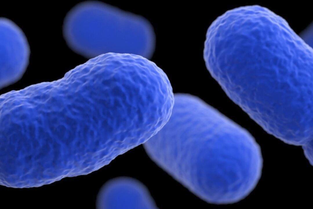 16 People Infected, 1 Dead in Listeria Outbreak Linked to Deli Meat, Cheese