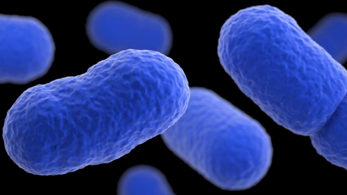 Recalled Fruit Linked to Potentially Deadly Outbreak Was Sent to Dozens of Large Retailers, FDA Warns