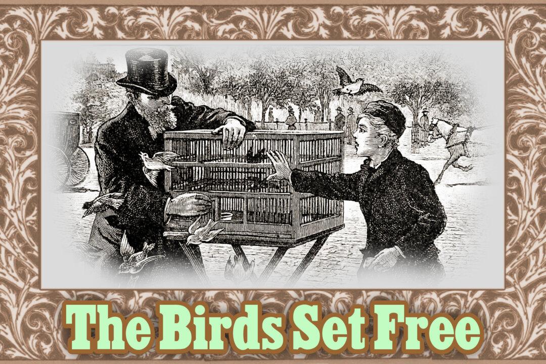 Moral Tales for Children From McGuffey’s Readers: The Birds Set Free