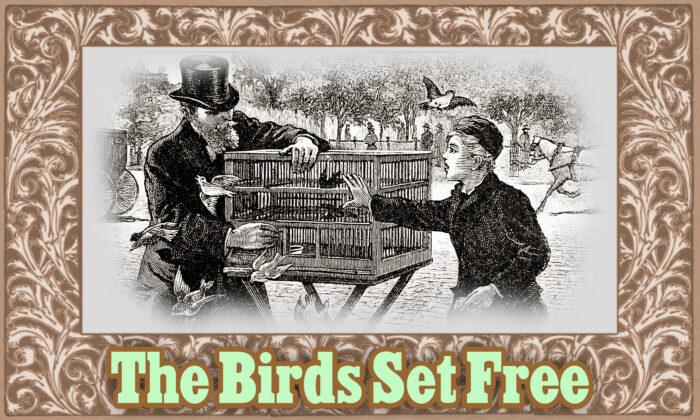 Moral Tales for Children From McGuffey’s Readers: The Birds Set Free
