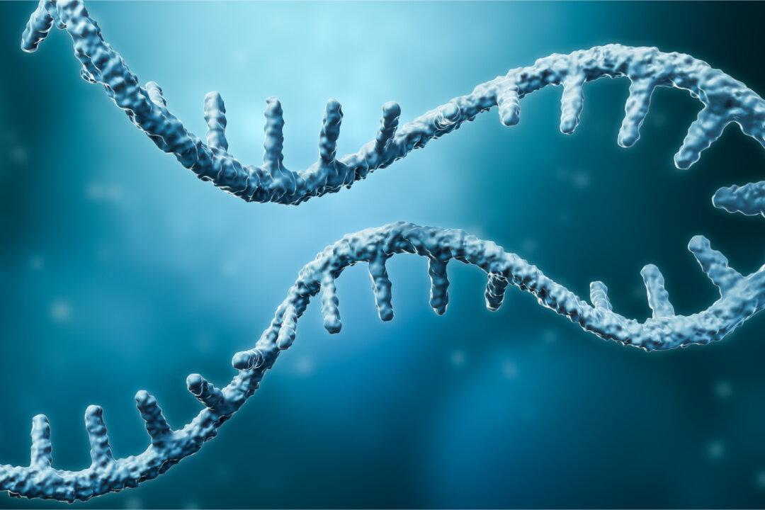 Is There a Correlation Between mRNA Technology and Expansive Genetic Identities?